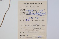 戟葉聖蕨藏品圖，第2張