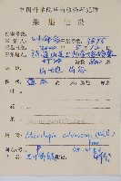 光葉鱗蓋蕨藏品圖，第2張