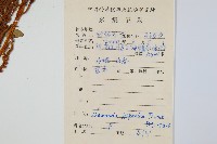 紫萁藏品圖，第2張