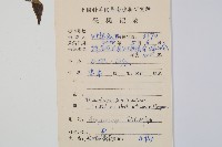 單葉雙蓋蕨藏品圖，第2張