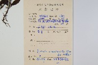 抱樹石葦藏品圖，第2張