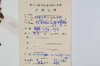 腎蕨藏品圖，第2張