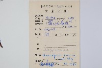 大金星蕨藏品圖，第2張