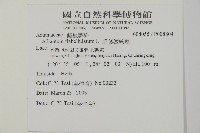 扇葉鐵線蕨藏品圖，第2張