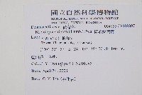 粗毛鱗蓋蕨藏品圖，第2張