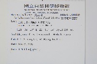 菲律賓厚葉蕨藏品圖，第2張
