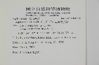 革葉鐵角蕨藏品圖，第2張