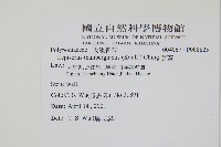 瓦葦藏品圖，第2張