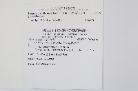 杯狀蓋陰石蕨藏品圖，第2張