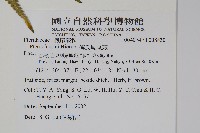 傅氏鳳尾蕨藏品圖，第2張