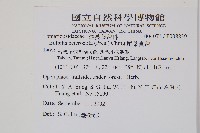 尾葉實蕨藏品圖，第2張