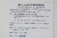 抱樹石葦藏品圖，第2張