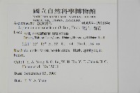 南洋山蘇花藏品圖，第2張