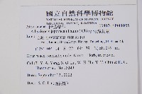 東洋蹄蓋蕨藏品圖，第2張