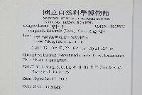 全緣卷柏藏品圖，第2張