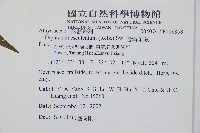 過溝菜蕨藏品圖，第2張