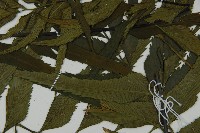 革葉鐵角蕨藏品圖，第4張