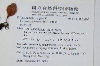 抱樹石葦藏品圖，第2張