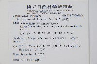 南洋山蘇花藏品圖，第2張