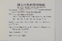 愛德氏肋毛蕨藏品圖，第2張