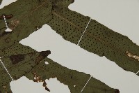 翅柄三叉蕨藏品圖，第3張