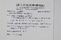 傅氏鳳尾蕨藏品圖，第2張