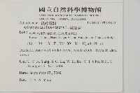 鐵線蕨藏品圖，第2張