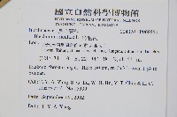 烏毛蕨藏品圖，第2張