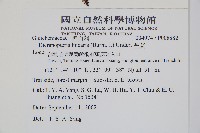 芒萁藏品圖，第2張