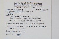 達邊蕨藏品圖，第2張