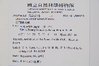 錫蘭雙蓋蕨藏品圖，第2張