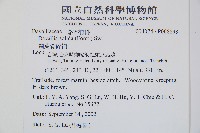 闊葉骨碎補藏品圖，第2張