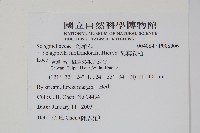 異葉卷柏藏品圖，第2張