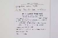 相馬氏石松藏品圖，第2張