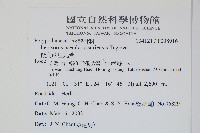 擬芨瓦葦藏品圖，第2張