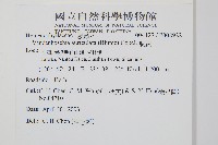 瓶蕨藏品圖，第2張