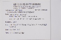 鱗柄鐵角蕨藏品圖，第2張