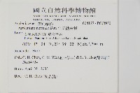 生芽鐵角蕨藏品圖，第2張