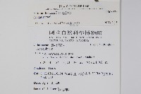 書帶蕨藏品圖，第2張