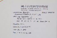 烏蕨藏品圖，第2張