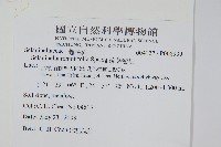 疏葉卷柏藏品圖，第2張