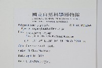 石葦藏品圖，第2張