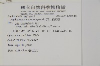 深山鐵角蕨藏品圖，第2張