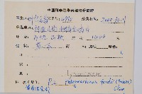華南馬尾杉藏品圖，第2張
