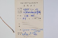 寬羽毛蕨藏品圖，第2張