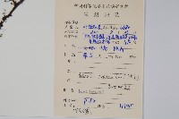 陰石蕨藏品圖，第2張