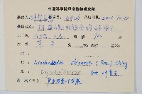 中華複葉耳蕨藏品圖，第5張