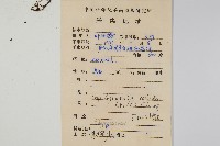 骨牌蕨藏品圖，第2張