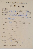 金狗毛蕨藏品圖，第2張