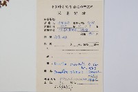 大葉骨碎補藏品圖，第2張